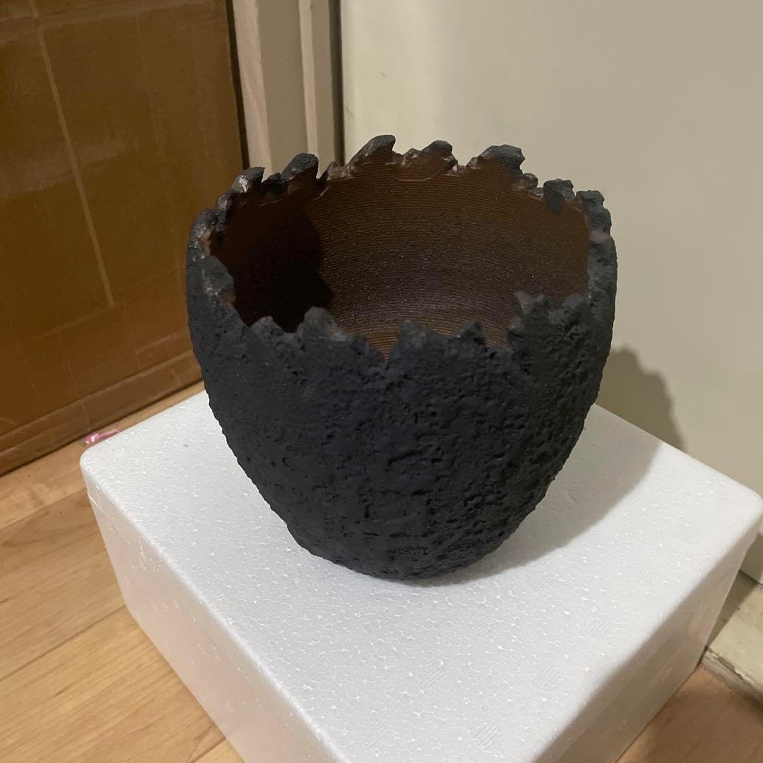 ドルステニアエレンベッキアナ ドルステニア エレンベッキアナ 陶器鉢付き